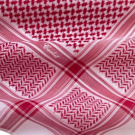 عرض يوم التأسيس