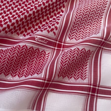 عرض يوم التأسيس