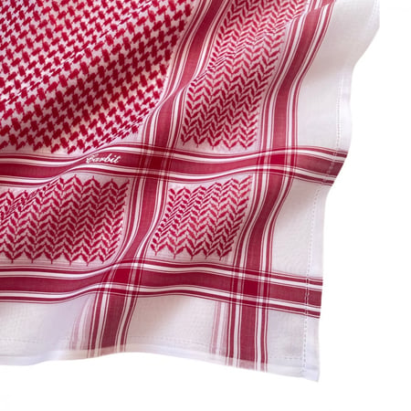 عرض يوم التأسيس