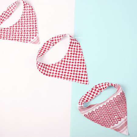 ثوب افارول الأمير الصغير مع صدريه