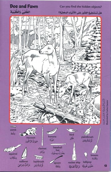 سلسلة الصور المخفية (4 كتب) - صغيرة