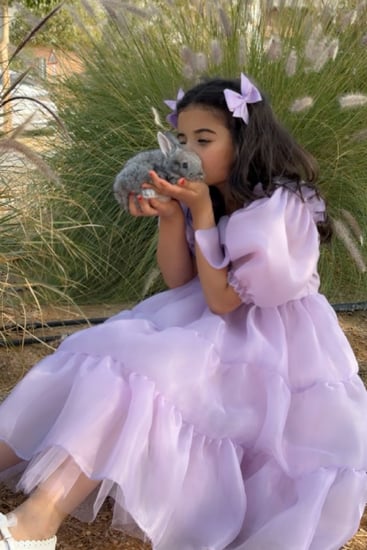 فستان جازار موف