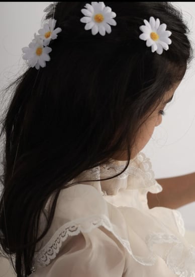 ورود اكسسوار شعر عدد ٥ حبات