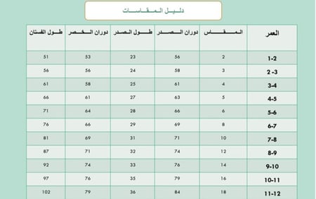 فستان و شنطه قرقيعان مطرز باحرف عربيه