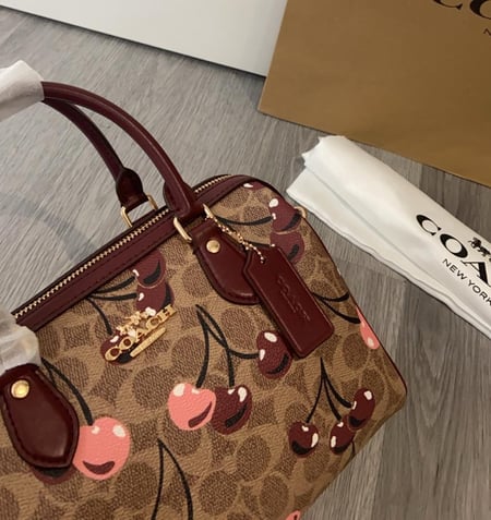 Coach cherry mini bag
