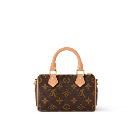 LV SPEEDY BAG