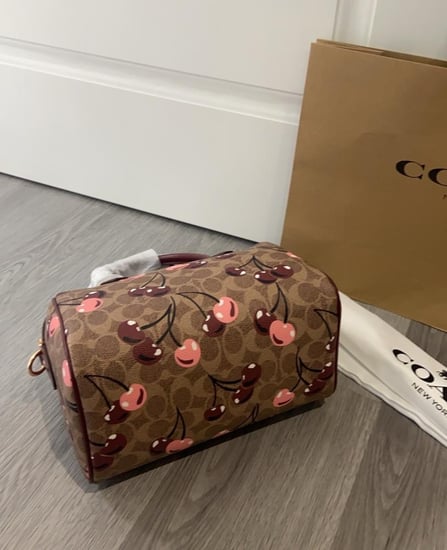 Coach cherry mini bag