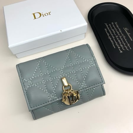 Dior wallet