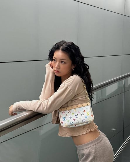 Lv colorful purse