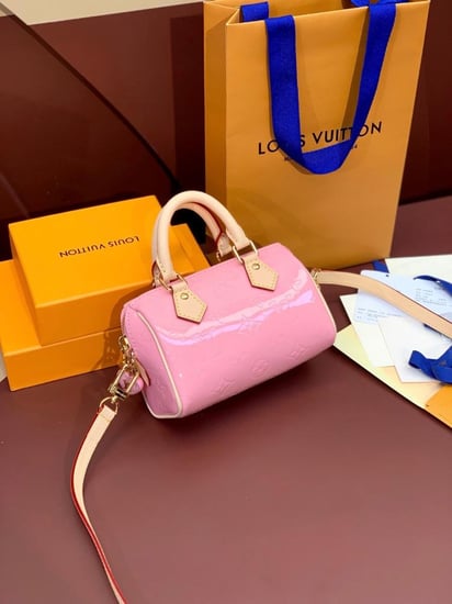 Lv speedy mini bag