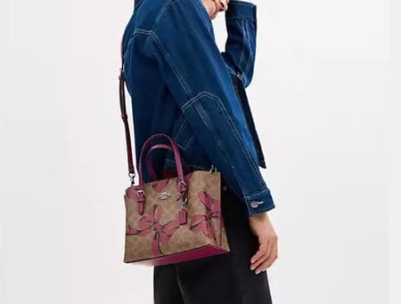 Coach new bow bag