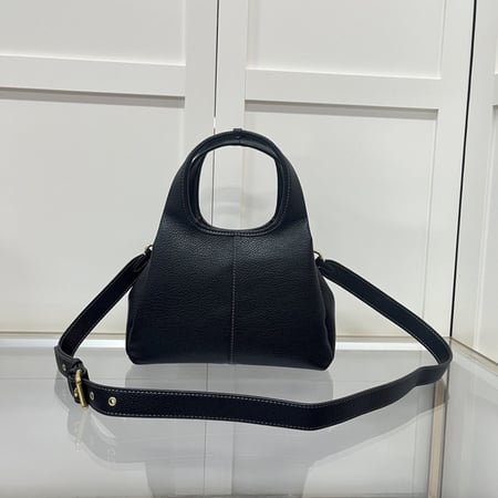 Coach lana bag