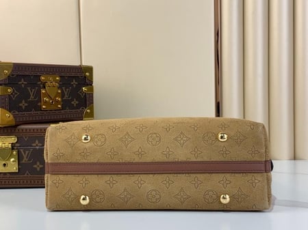 Mahina leather Lv bag