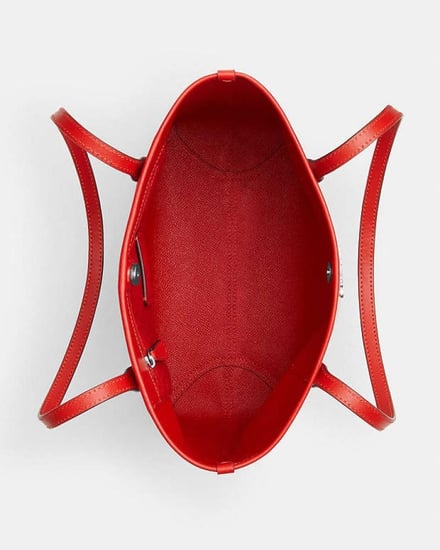 Coach strips mini bag