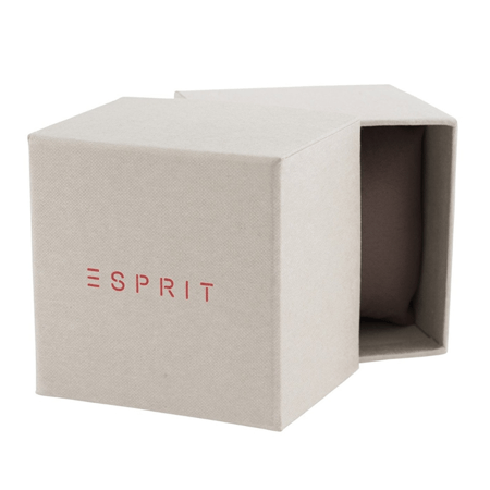 ساعة إسبريت ارلو كوارتز رجالية - ES1G322M0075