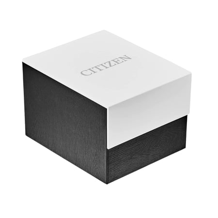 ساعة سيتيزن كوارتز رجالية - BI5002-06E