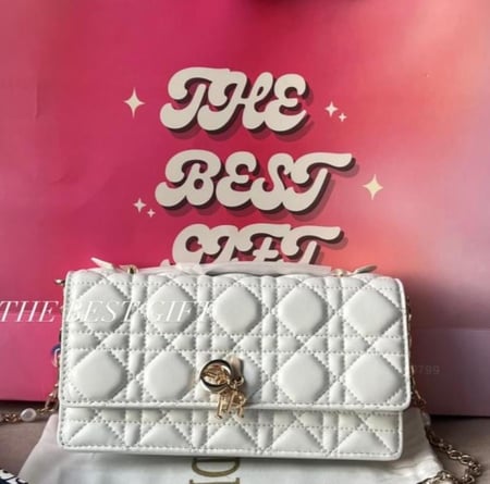Dior Bag