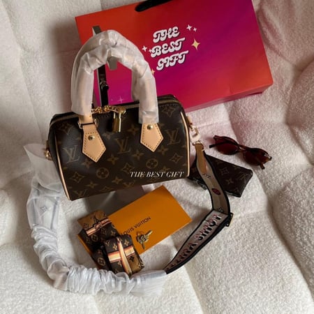speedy lv bag 20