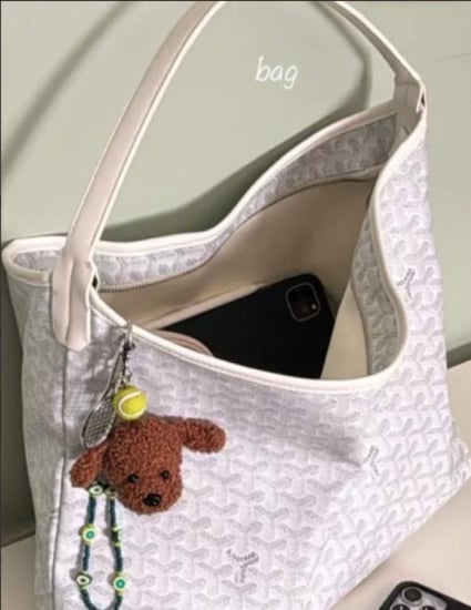 goyard Boheme Hobo Bag