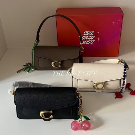 coach tabby bag 20cm