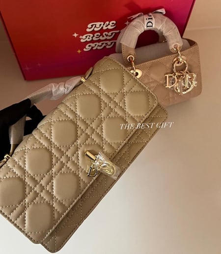 Dior Bag