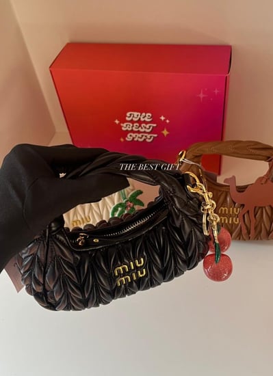 miu miu mini bag 17cm
