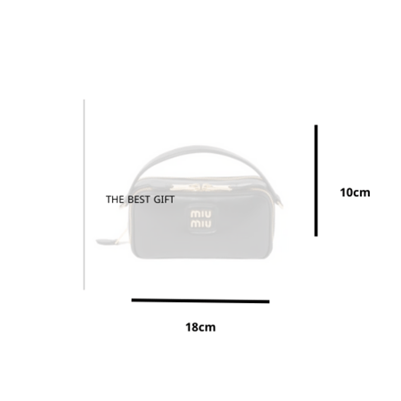 miu miu bag