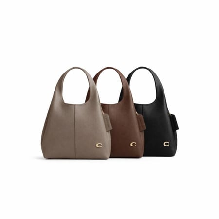 coach lana bag
