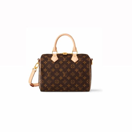 lv speedy 25