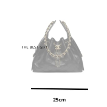 chanel bag 25cm