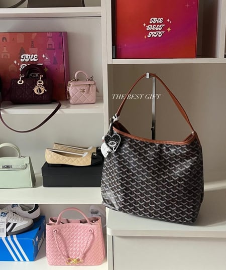 goyard Boheme Hobo Bag