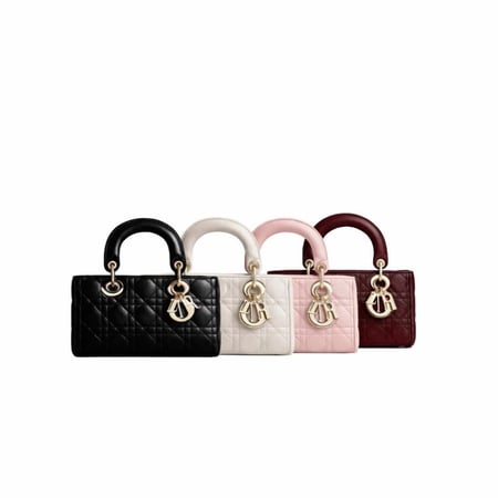 Lady Dior -Joy Bag