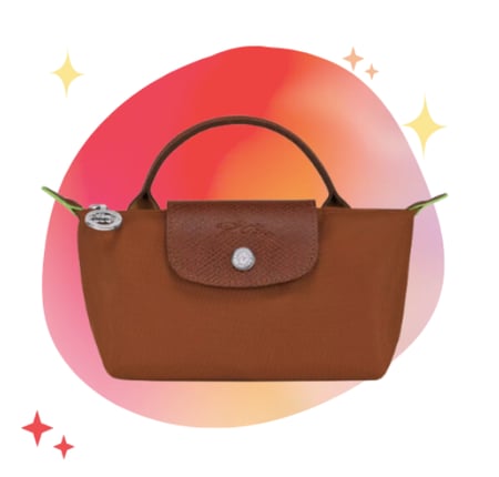 longchamp mini  _ With strap