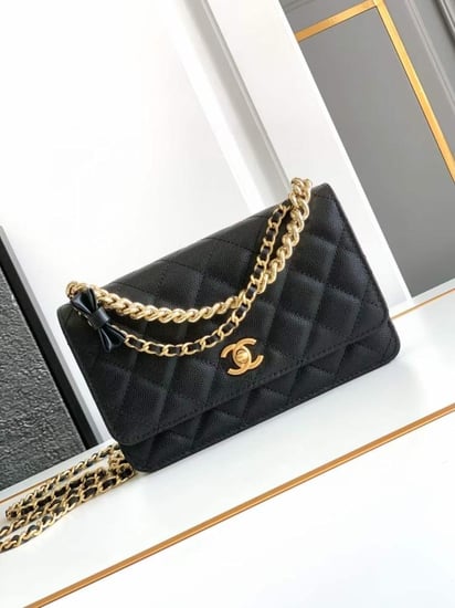 Chanel 24s size20cm