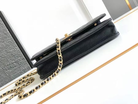 Chanel 24s size20cm