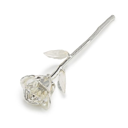 ورد طبيعية مفتحة مطلية بالفضة نوعية فاخرة