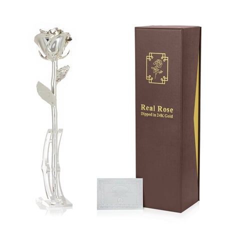 ورد طبيعية مفتحة مطلية بالفضة نوعية فاخرة