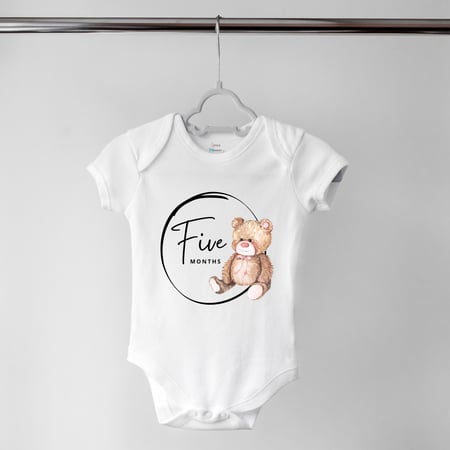 Set of 12 - Teddy bear