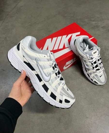 LA Nike P-6000