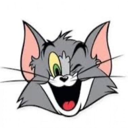 لابكوت نسائي بكم مطاط