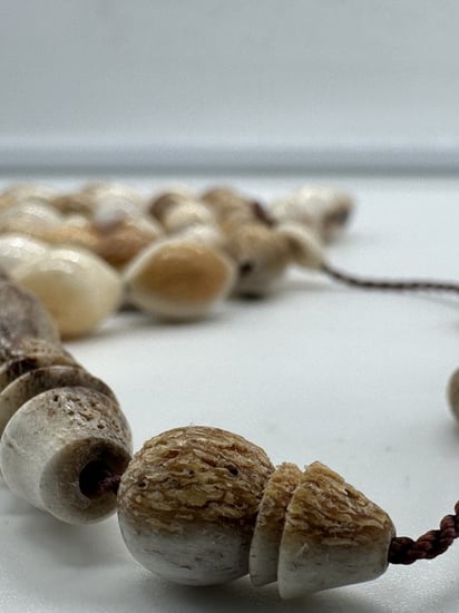 سبحة قرن الغزال الاوربي