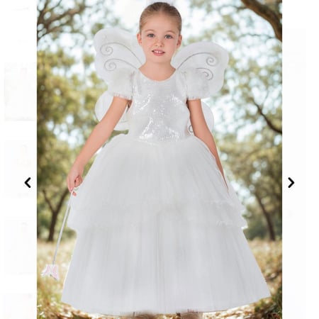 فستان الفراشة الصغيرة