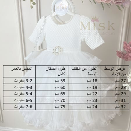 فستان الاميرة +شنطة فقط