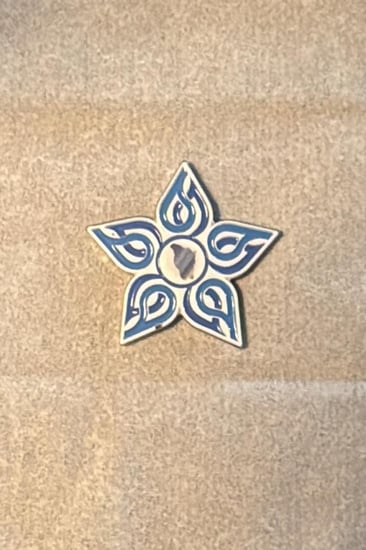 بروش التجمع الصحي