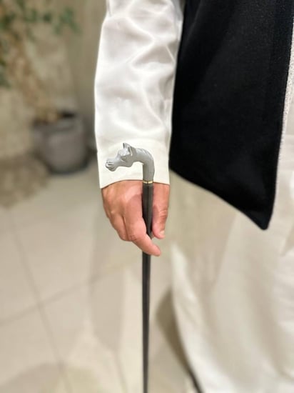 عصا الخيل رمادي صغير