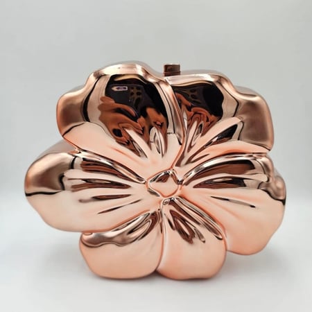 شنطة يد صغيرة من الاكريليك