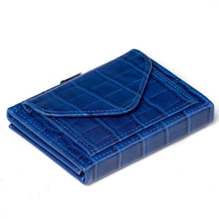 محفظة اكسنتري  المتعددة Caïman Blue