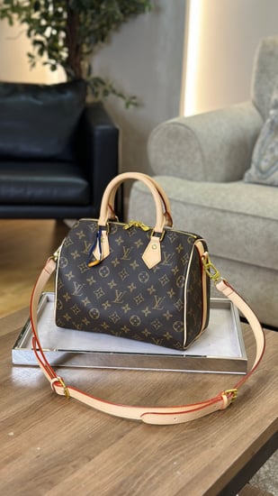 LOUIS VUITTON 25cm