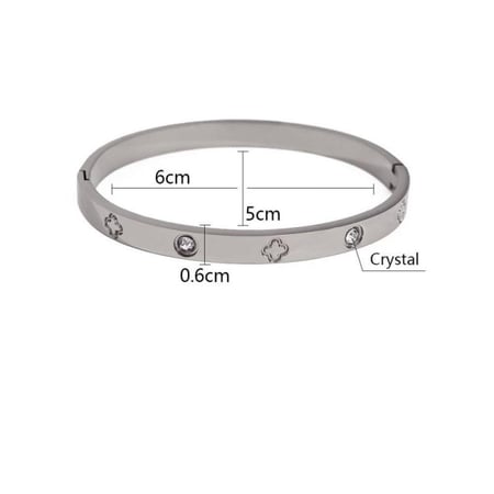 اسوارة كارتير من التيتانيوم استيل المميز