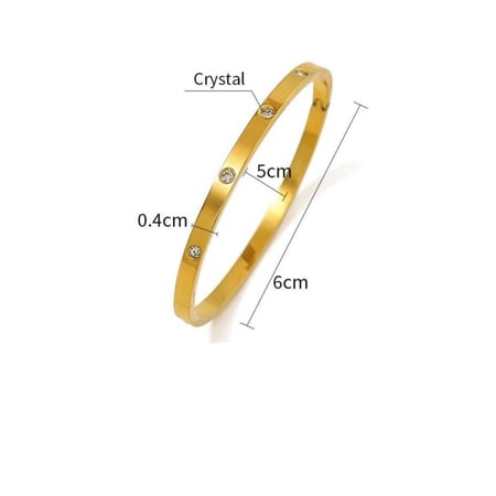 اسوارة كارتير من التيتانيوم استيل المميز